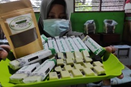 Campur Cokelat dengan Daun Kelor, Pelajar Kediri Raih Omzet Jutaan