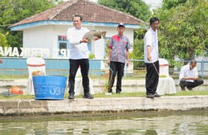 UPT Perikanan Budidaya Air Tawar Pasuruan Didorong Kembangkan Ikan Lele dan Ikan Dewa
