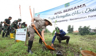 Pemdes Sumbergedang Tanam 1.000 Bibit Pohon Sukun, Langkah Nyata untuk Kelestarian Lingkungan