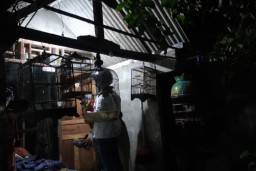 Tim Densus 88 Antiteror Tangkap Terduga Teroris di Surabaya