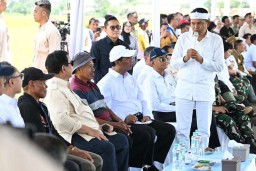 Turun ke Sawah di Majalengka, Presiden Prabowo Pimpin Langsung Panen Raya Nasional