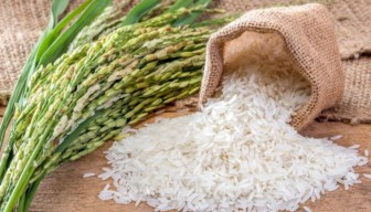 Pemerintah Naikkan Harga Eceran Beras Medium dan Premium Mulai 1 Juni 2024