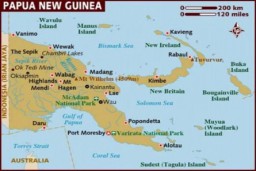 Flu Babi Afrika Serang Papua Nugini