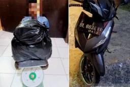 Bawa Ganja, Tertangkap di Pos Covid
