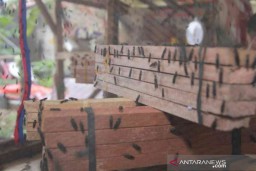 Petani di Bogor Mendapatkan Rp 12 Juta Sebulan dari Budidaya Maggot