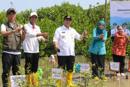 Tangkal Rob, Wakil Gubernur Jateng Tanam 1.000 Bibit Mangrove di Demak
