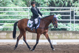 Ketangguhan dan Keanggunan Berpadu di Arena Equestrian Puncak Joyo