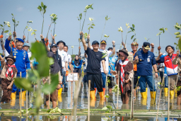 "Mangrove untuk Hidup! Seruan dari Pesisir Brebes, Gubernur Luthfi Hadirkan Harapan Baru"