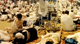 GRATIS! Tak Ada Pungutan Sepeser pun untuk Jemaah Haji Lansia dalam Program Murur dan Safari Wukuf