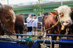 RPH Surabaya Pastikan Hewan Kurban Sehat dan Aman Jelang Idul Adha 1446 H