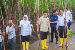 Jatim Siap Jadi Lokomotif Swasembada Gula Nasional