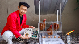 Mahasiswa Untag Surabaya Bantu Peternak Mojokerto Atasi Stres Ayam Lewat  Inovasi "Cek Kandangku"