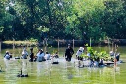 Pemkot Surabaya dan Wahana Visi Indonesia Tanam 1.000 Mangrove, Galakkan Aksi Bersih Pesisir