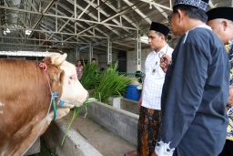Wagub Taj Yasin Resmikan RPH Halal di Kompleks MAJT Semarang: Tonggak Baru Ekonomi Syariah Jawa Tengah