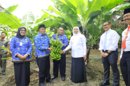 Khofifah Apresiasi Inovasi School Food Care di SMAN 1 Pandaan, Dorong Jadi Model Nasional