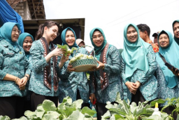 Panen Raya di Guyangan: “Aku Hatinya PKK” Tumbuhkan Kemandirian Pangan dan Perangi Stunting