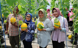 Pemkot Surabaya Apresiasi Petani Kota, Urban Farming Jadi Pilar Ketahanan Pangan