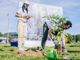 Wujudkan Lingkungan Berkelanjutan, Bandara Pattimura Ambon Tanam 1.336 Bibit Pohon