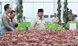 Prabowo: MBG Investasi Strategis Bangun Generasi Emas