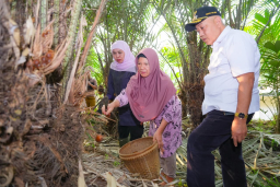 Khofifah Dorong Pengembangan Salak Madu Kasembon, Perluasan Lahan Jadi Prioritas