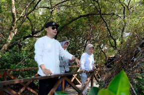 Jadikan Kebun Raya Mangrove sebagai Destinasi Wisata yang Ikonik