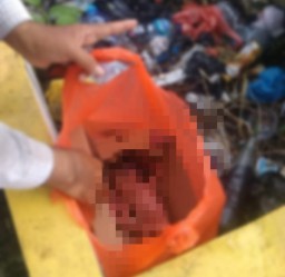 Bayi Dibuang di Tempat Sampah Dekat Makam Oma Indah, Bringkang