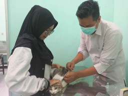 Pemkot Mojokerto Gelar Vaksinasi Rabies Gratis dalam Peringatan World Rabies Day 2024