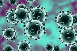 Lima Kelemahan Virus Corona atau Covid-19