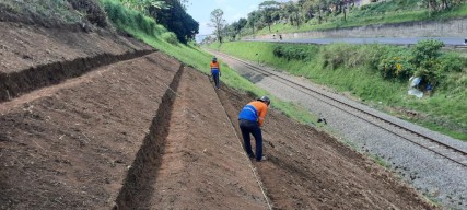 KAI Intensifkan Penanaman Pohon dan Rumput Akar Wangi di Sepanjang Jalur KA