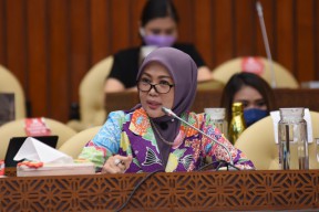 DPR: Satu Desa Satu Penyuluh Pertanian