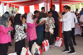 Presiden Jokowi Tinjau Ketersediaan Stok Beras di Gudang Bulog