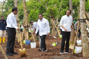 Antisipasi Perubahan Iklim, Presiden Jokowi Ajak Masyarakat Tanam Pohon