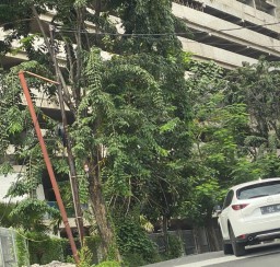 DPRD Surabaya: Bangunan Apartemen Harus Dibongkar