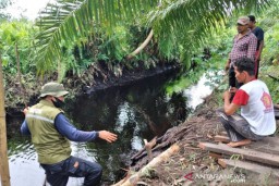 Buang Hajat di Sungai, Diterkam Buaya, Tangan Nenek di Sampit Putus