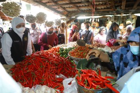 Gubernur Khofifah Optimis Stabilkan Harga Cabai Sebelum Idul Adha