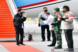 Jokowi: Food Estate Hasilkan Kentang hingga Bawang Merah
