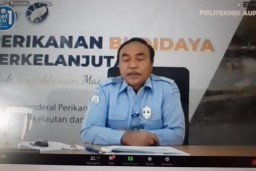 KKP Tebar Benih Rajungan