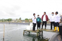 Menteri KKP Resmikan 13 Klaster Rehabilitasi Tambak Udang