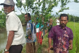 Warga Pasaman Barat, Sumatera Barat Hilang Diduga Diterkam Buaya