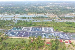 KKP: Aceh Timur Cocok untuk Pengembangan Tambak Udang