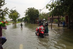 Kali Lamong Meluap  Empat Kecamatan di Gresik Banjir