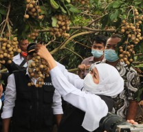Gubernur Khofifah Puji Sistem Tumpang Sari Tripple Cropping