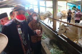 Ganjar: Bisa Diobati, Tidak Usah Panik