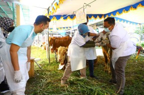 Emil Dardak : Mari Wujudkan Hari Raya Qurban Tahun 2022 Sehat dan Aman