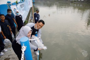 Universitas Hang Tuah Restocking Ikan Lokal di Kalimas