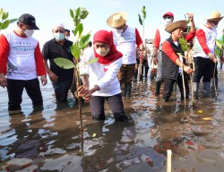 Gubernur Khofifah: Mari Sedekah Oksigen Dengan Menanam Mangrove
