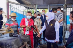 Gubernur Khofifah Pastikan Stok Aman dan Distribusi Lancar