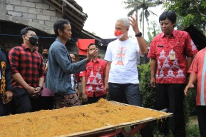 Talas Beneng Disulap Jadi Pengganti Tembakau dan Dieskpor ke Australia