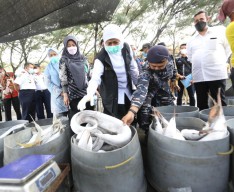 Gubernur Khofifah Optimis Hasil Data Akurat Akan Jadi Acuan Kebijakan yang Tepat