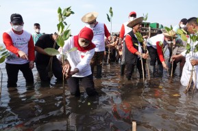 Gubernur Khofifah: Ayo Masifkan Tanam dan Lestarikan Mangrove Untuk Sedekah Oksigen
